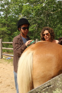 Raymond got to brush a horse's butt! 